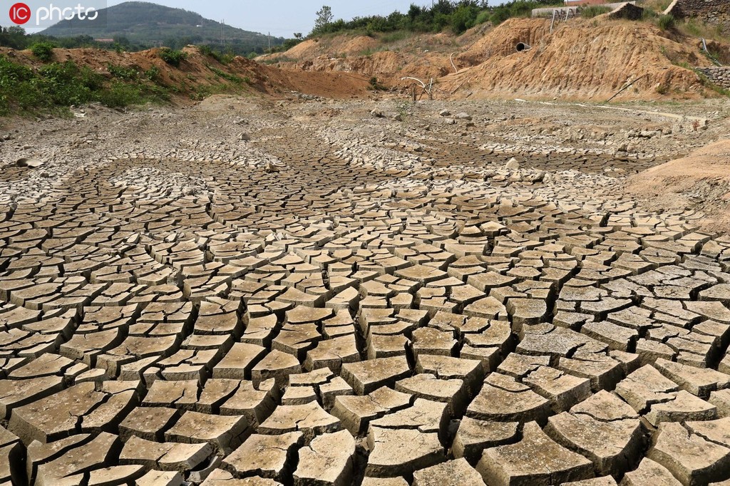 6月27日，在山東省蓬萊市拍攝的平山水庫干涸已經龜裂。