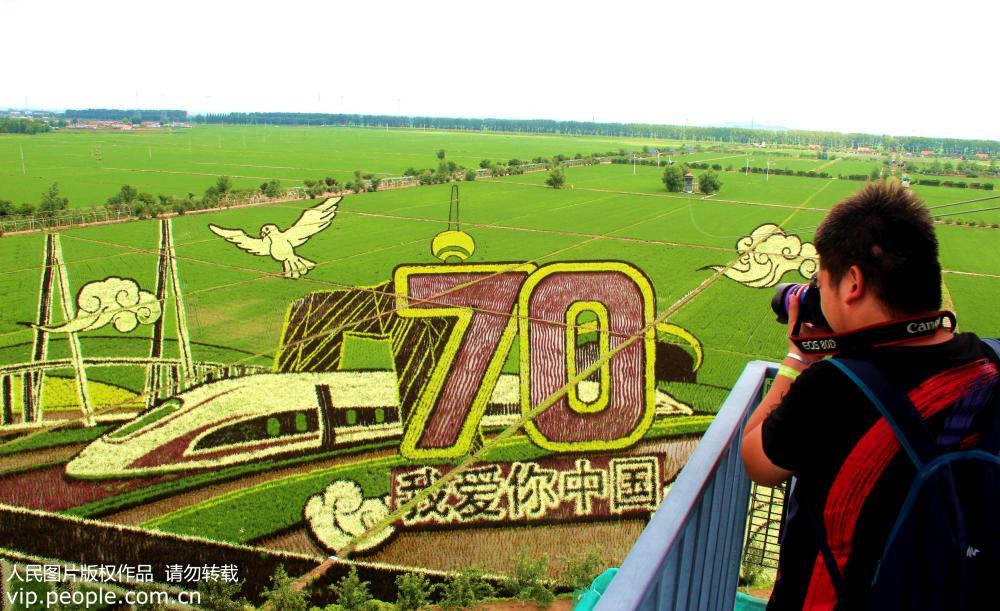 �������޷����ﻭ������ѹ�����