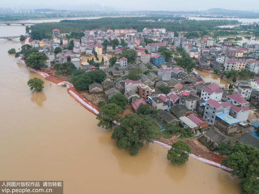 7月10日，吉安縣敦厚鎮康家村段禾河堤壩被河水漫灌情況危急。