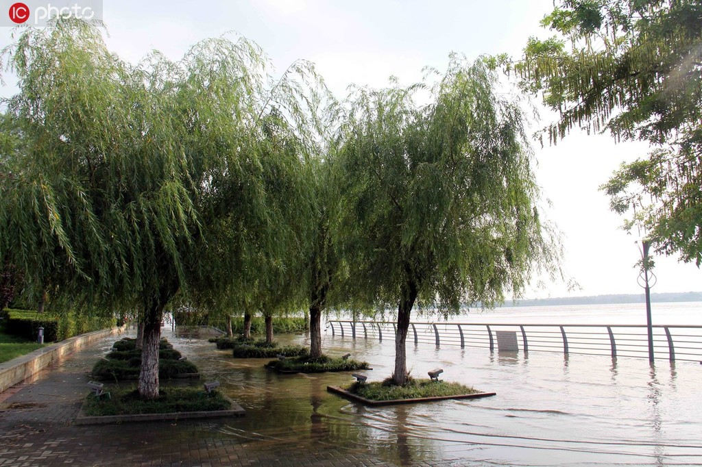 ���������ߺ���ˮλ��������