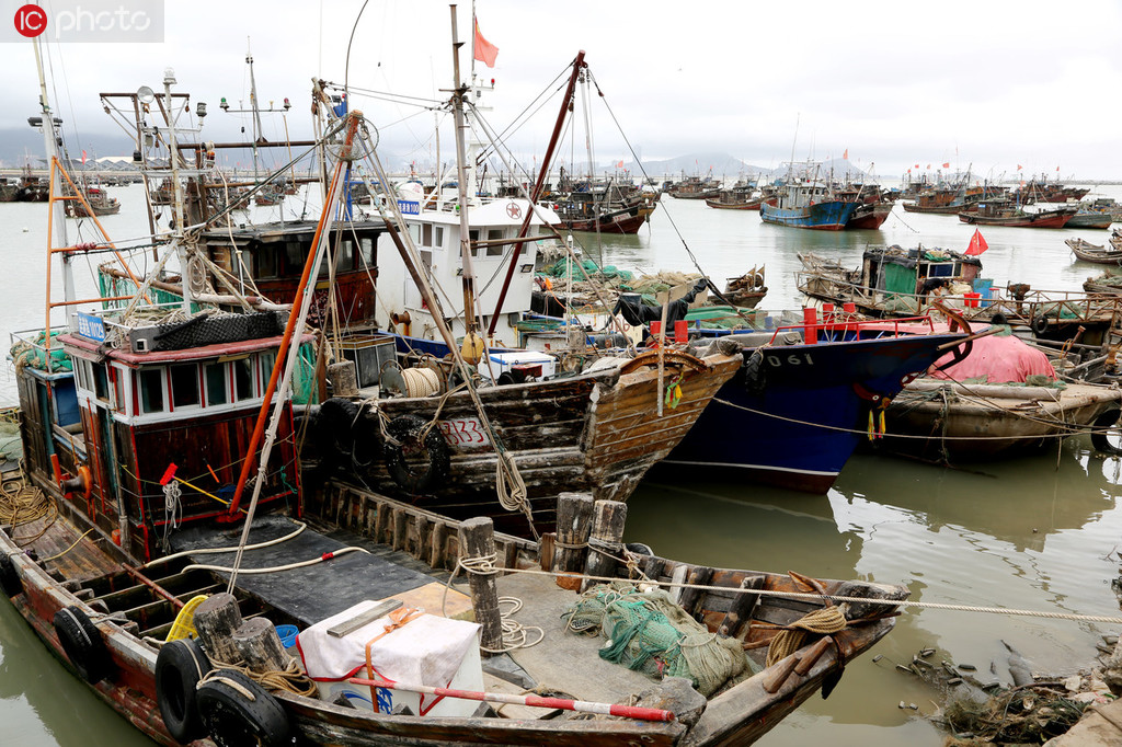 江蘇連雲港：數千艘漁船紛紛回港 躲避台風“丹娜絲”【4】