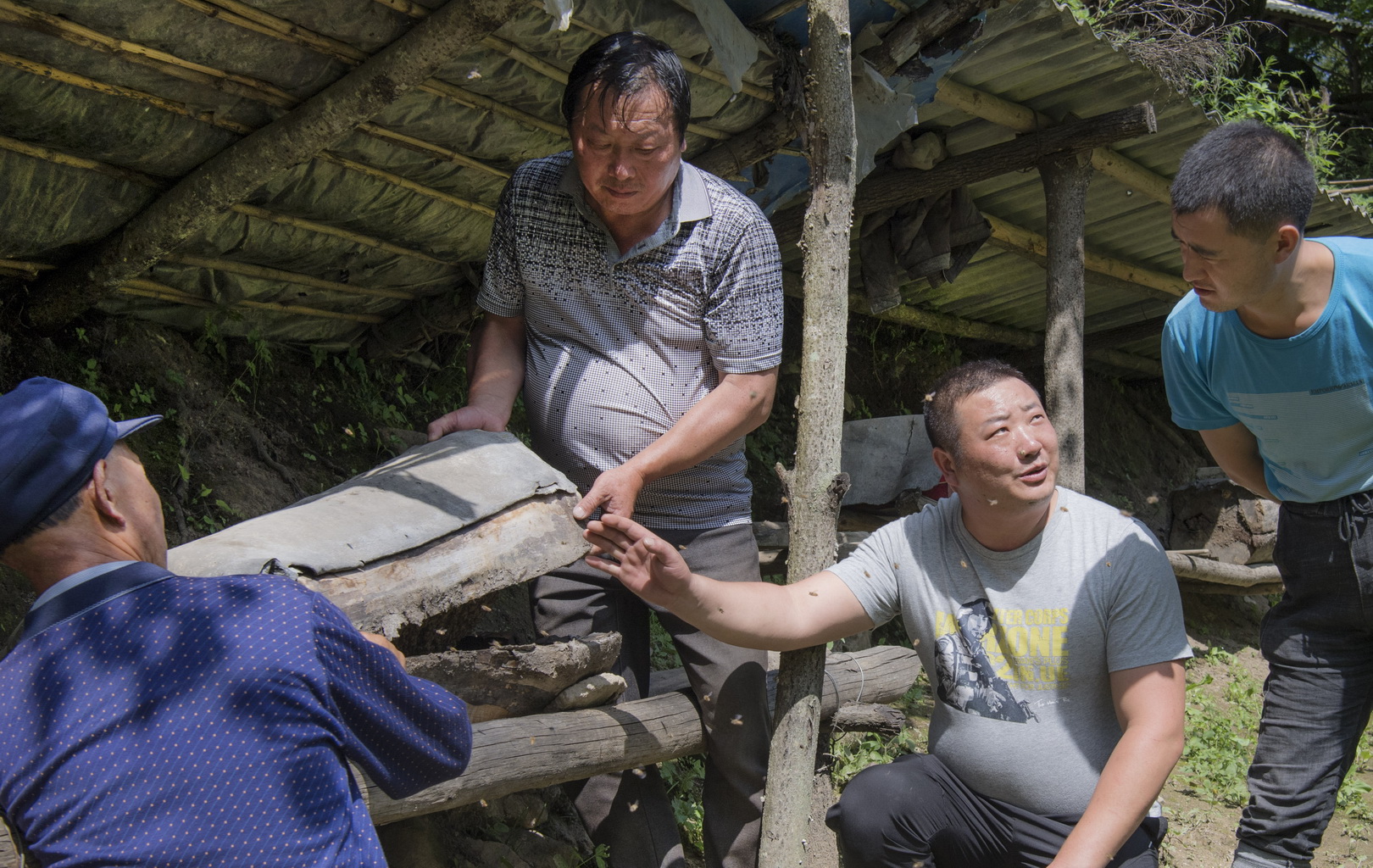 姚祖元（右二）向留壩縣芳之源純天然養蜂專業合作社成員講解如何巧取棒棒蜜（7月13日攝）。