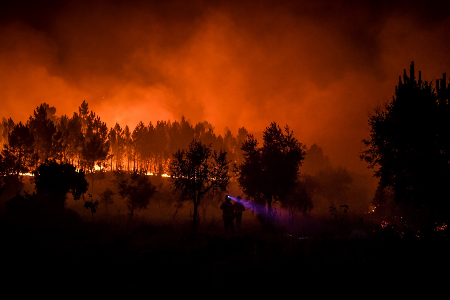 7月21日，在葡萄牙中部的卡爾迪古什村，消防人員在火場作業。