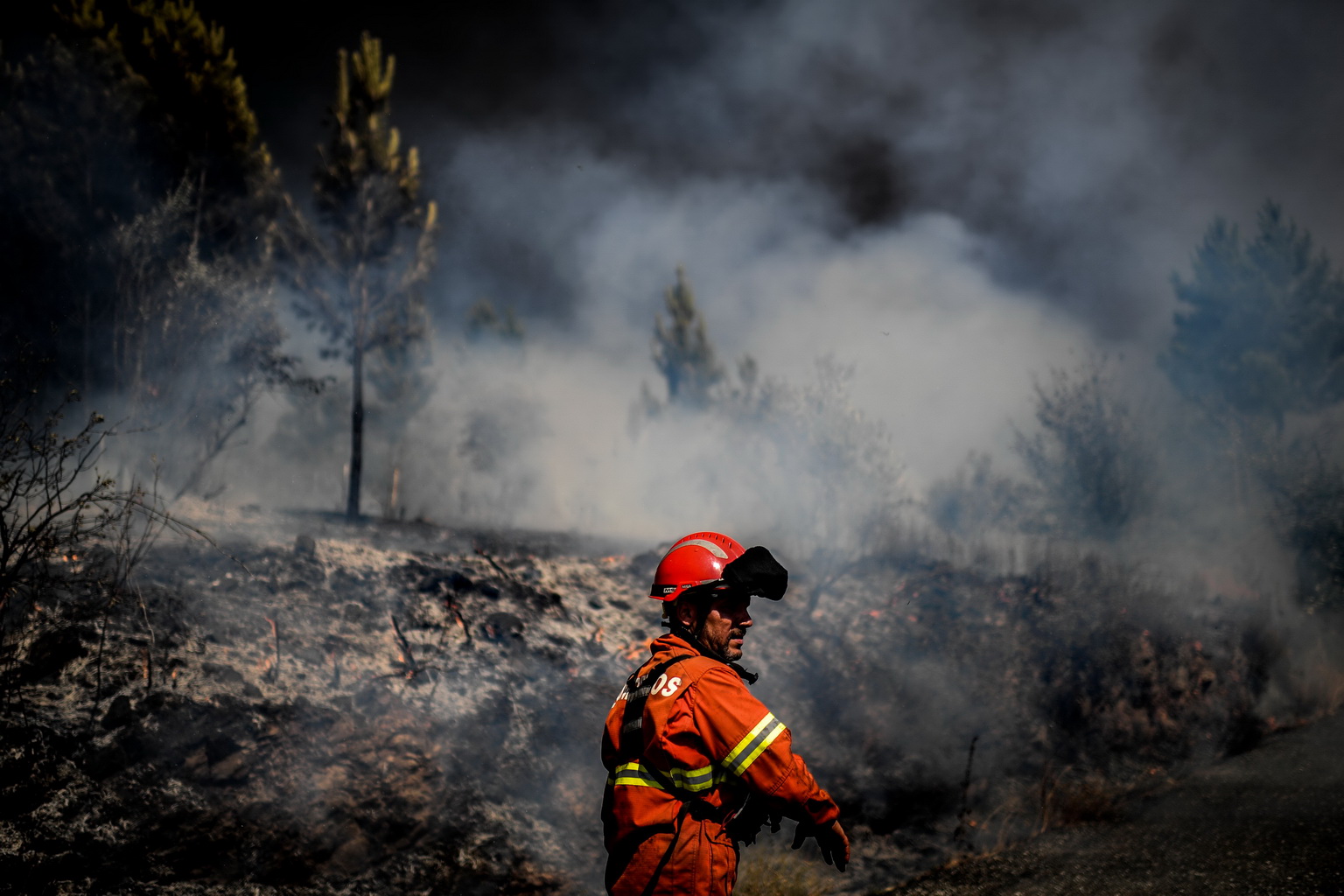 7月21日，在葡萄牙中部的羅達村，一名消防人員在火場作業。