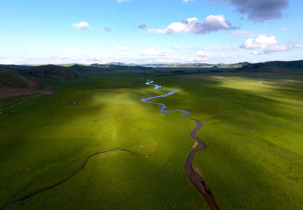 這是美麗的西烏珠穆沁旗白彥花鎮阿拉騰興安嘎查乃林河草原風光（7月23日無人機拍攝）。