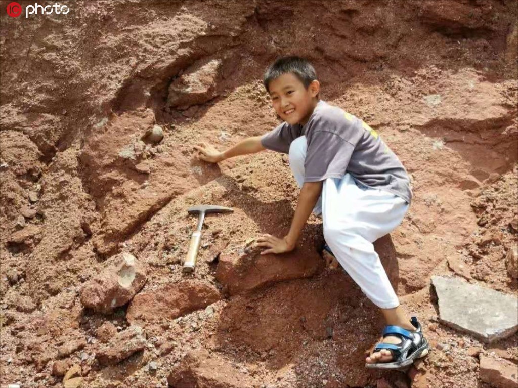小學生發現六千萬年前恐龍蛋 一共挖出11顆