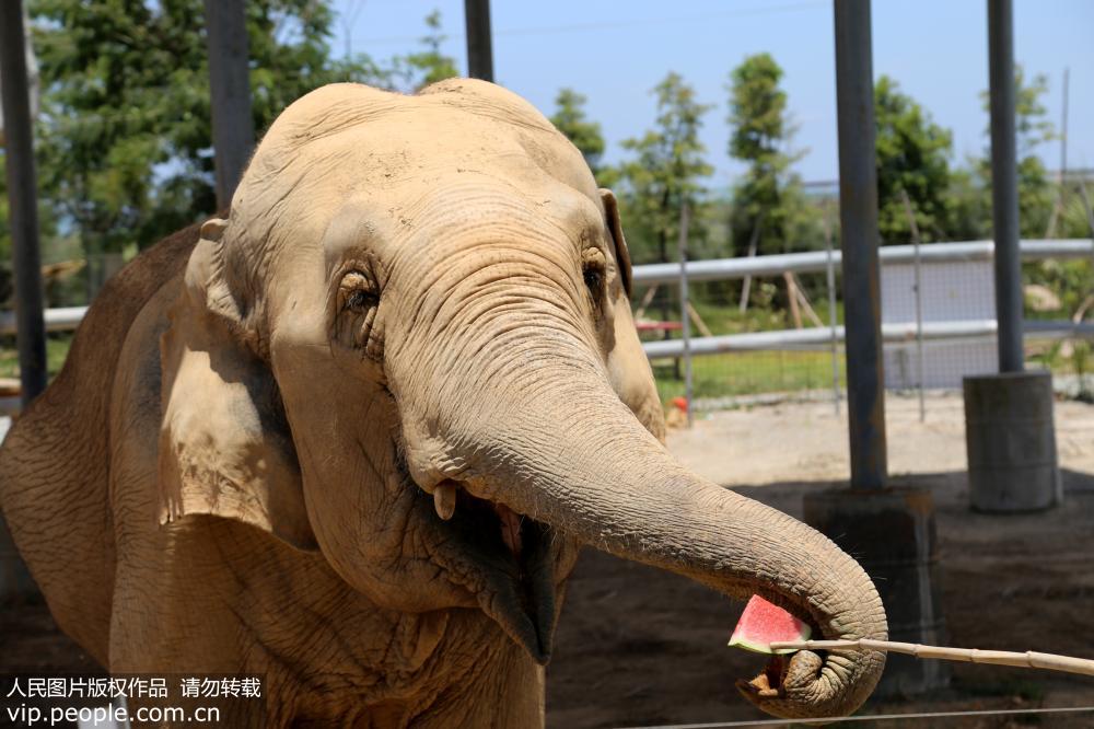 ������Ϯ Ұ����������С���������11��