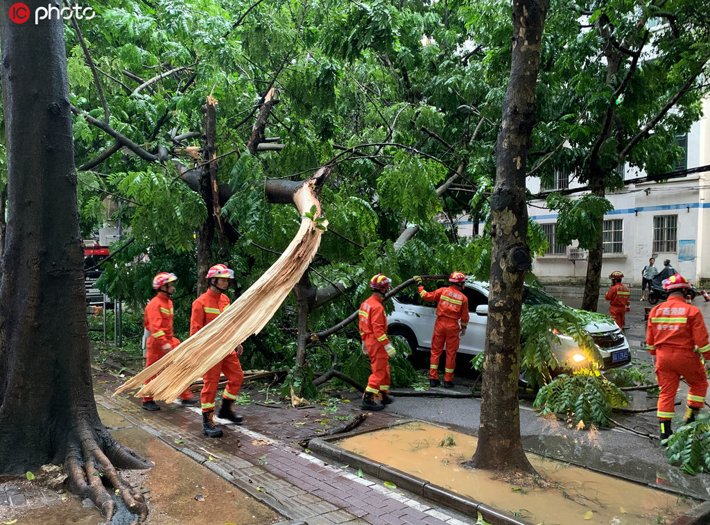 南寧狂風暴雨致大樹轟然斷裂倒地 小車慘遭“泰山壓頂”【3】