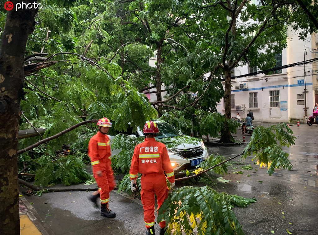 南寧狂風暴雨致大樹轟然斷裂倒地 小車慘遭“泰山壓頂”【4】