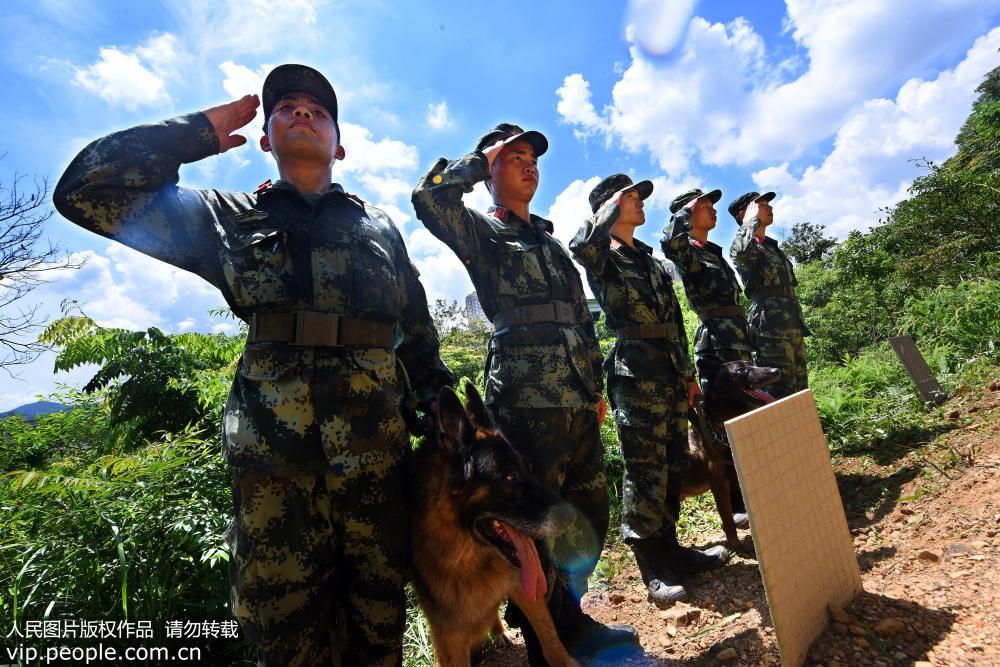 �¾����ԵĹ�ѫս�ѡ�4��