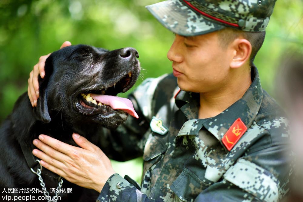 �¾����ԵĹ�ѫս�ѡ�2��