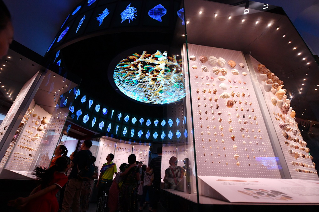 7��31�գ��ο��ڡ����պ���չ����ιۡ�