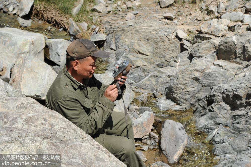 2019年8月4日，雪豹監測人員在祁連山末端回收安放的紅外相機。
