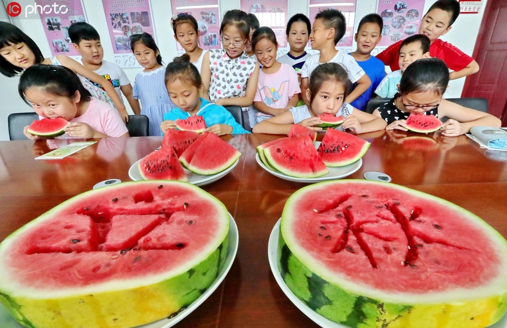 8月7日，河北省秦皇岛市海港区铁路里社区小朋友吃西瓜“啃秋”。