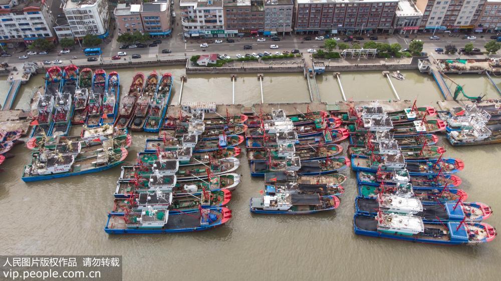 8月8日，浙江寧波象山縣石浦漁港裡停靠避風的漁船。