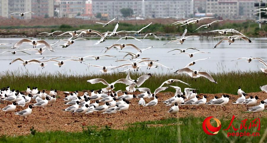 �ӱ���������̬���� ��Ÿ���ࡾ3��