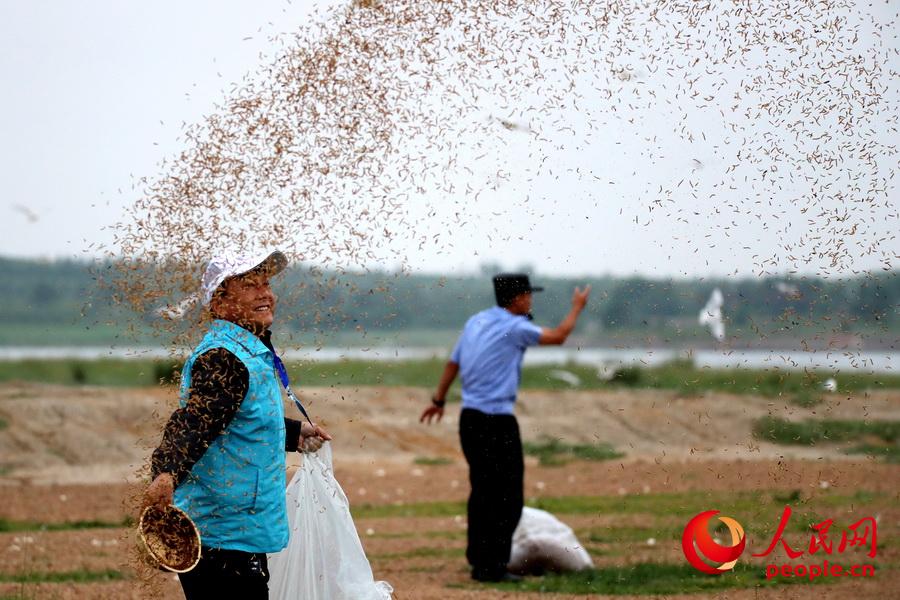 ־Ը�߸���ŸͶʳ