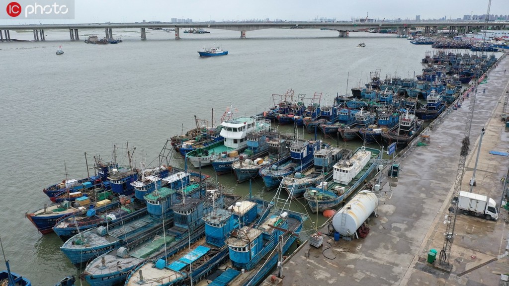 8月12日，天津市濱海新區北塘漁港碼頭，船隻停靠在港口躲避台風“利奇馬”。