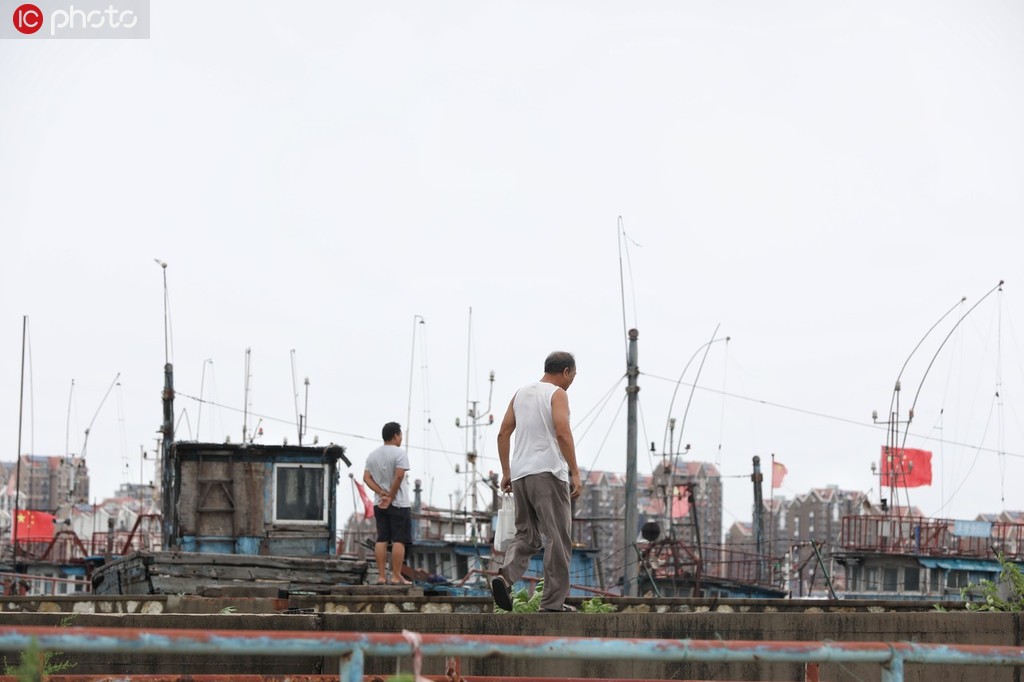 8月12日，天津市濱海新區北塘漁港碼頭，市民來到港口觀望。
