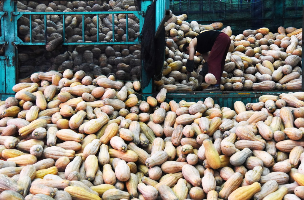 8��13�գ����ٹ�ũ��Ʒ����԰��������Ա������ũ��Ʒ��