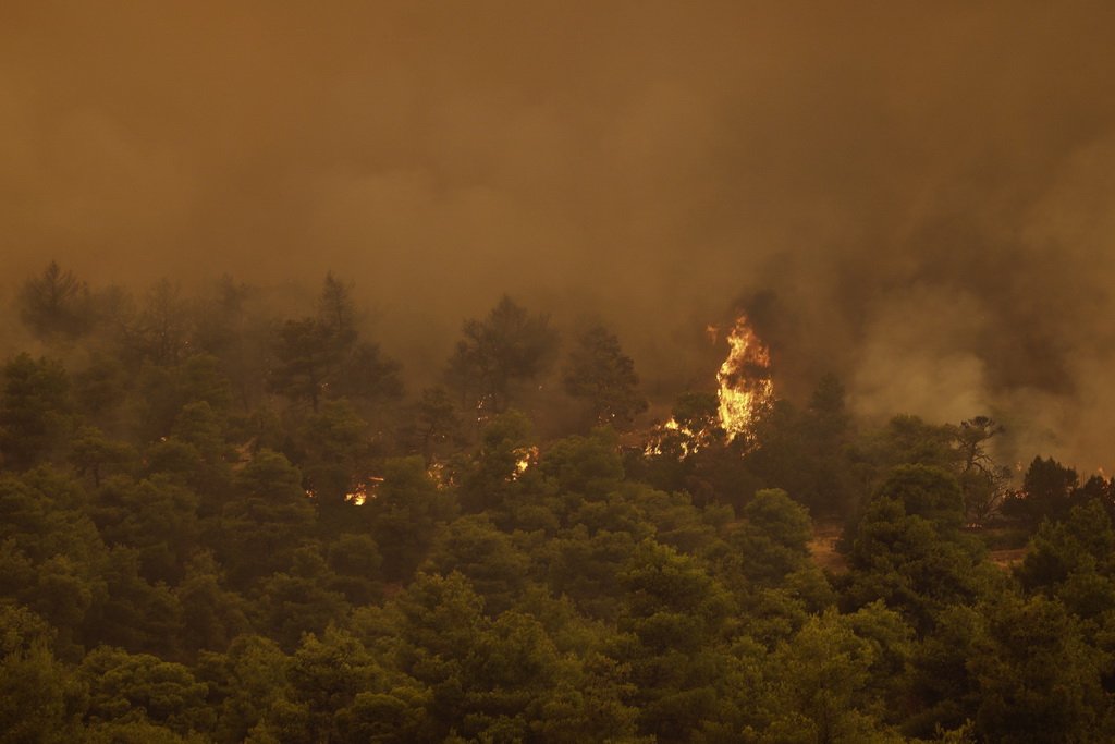 8月13日，大火在希腊中部埃维亚岛的马克里马利村附近山林中蔓延。