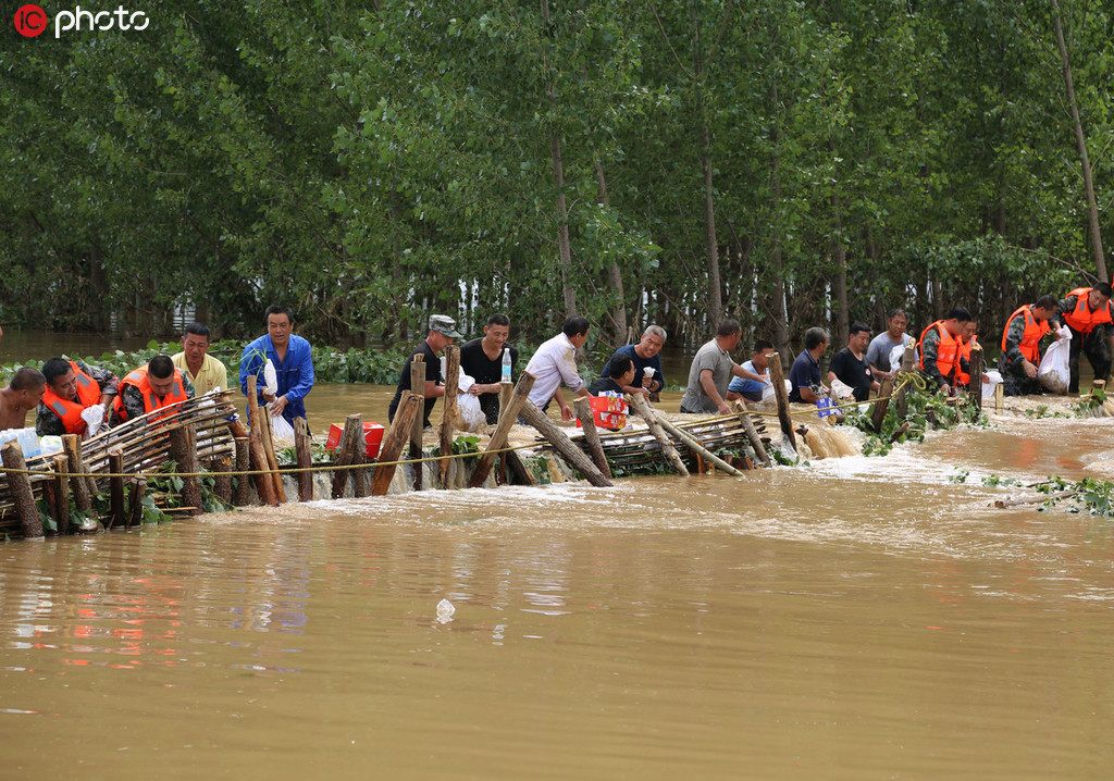 8月14日，山東省鄒平市民兵和焦橋鎮干部群眾在圍堵勝利河河水，以減少對周邊農田的影響。