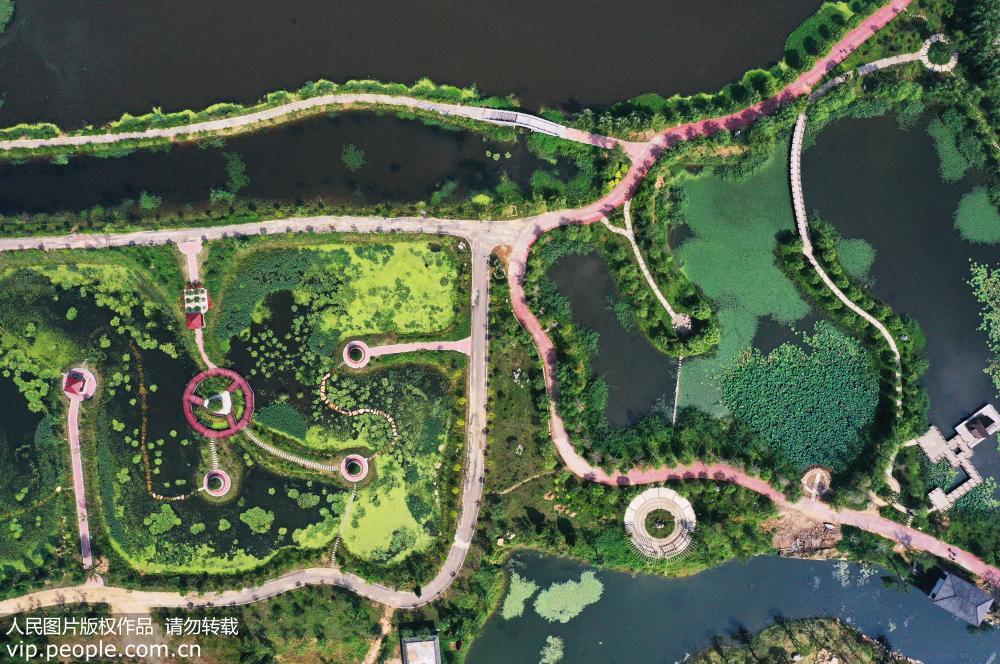 8月15日，山東省棗庄市山亭區月亮灣國家濕地公園內景美如畫（無人機拍攝）。