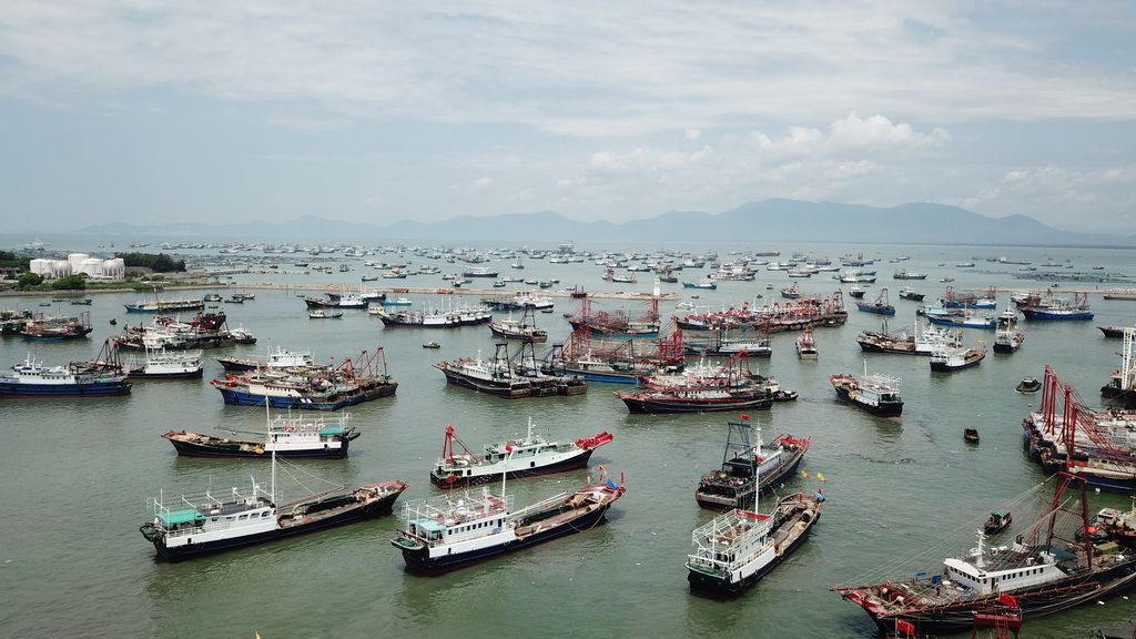 漁港裡的漁船准備出海（8月16日無人機拍攝）。