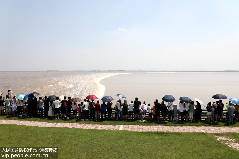 �㽭������Ǯ���󳱷���׳�ۡ�2��