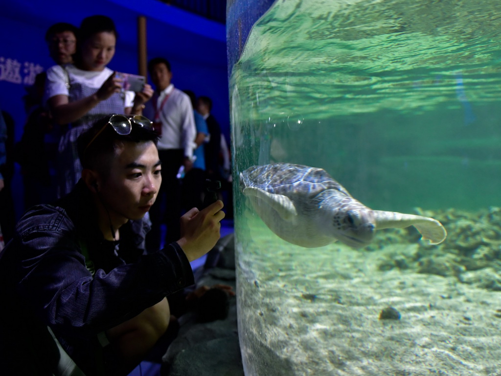 8月18日，游客在西寧海洋世界科普館內參觀。