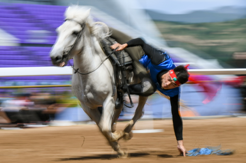 8月20日，騎手在“蒙古馬”傳統技巧表演中展示騎馬拾哈達。