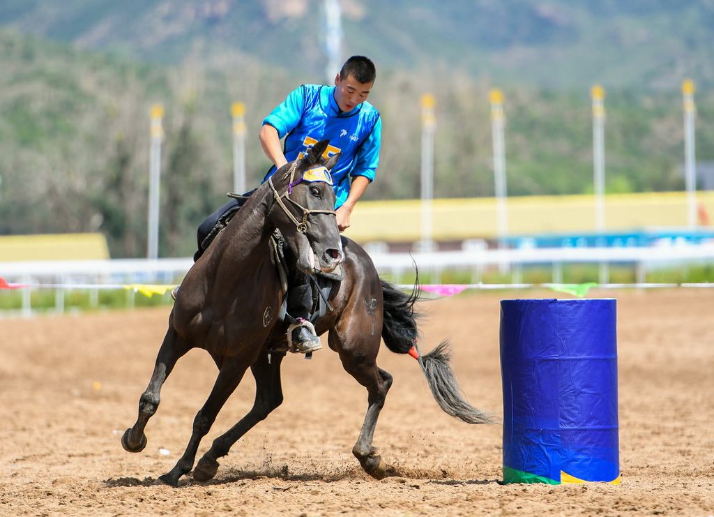 8月20日，騎手在“蒙古馬”傳統技巧表演中展示騎馬繞桶。