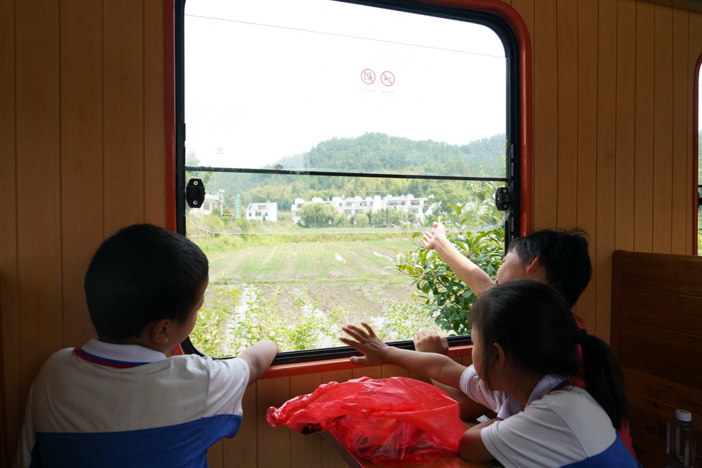 ɭ��С����������Ρ�6��