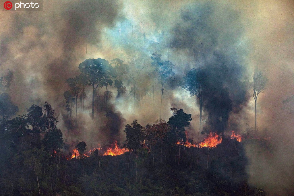 亞馬遜雨林野火持續燃燒 濃煙滾滾滿目瘡痍【4】
