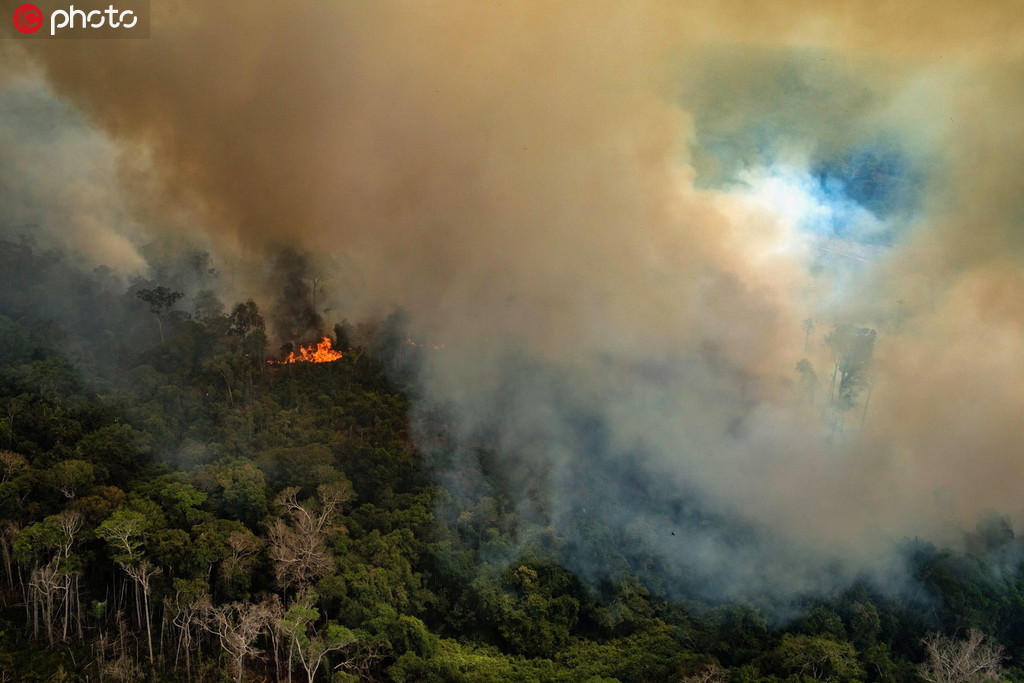 亚马逊雨林野火持续燃烧 浓烟滚滚满目疮痍