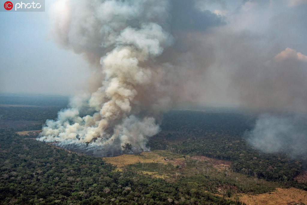 亚马逊雨林野火持续燃烧 浓烟滚滚满目疮痍(5) 第5页