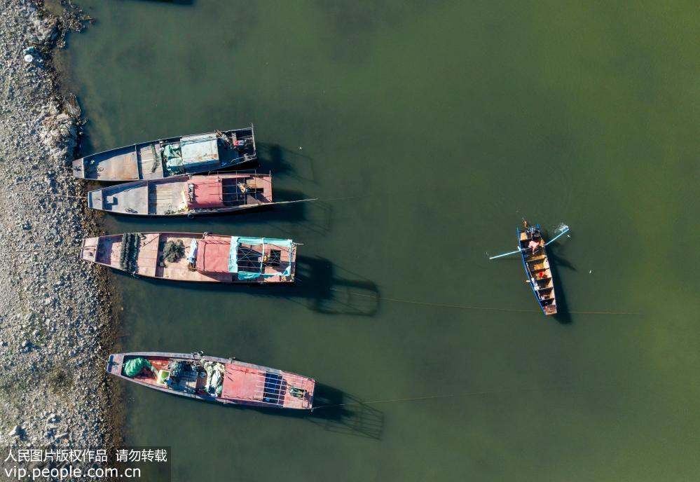 我國最大淡水湖鄱陽湖將實施十年禁捕期【3】