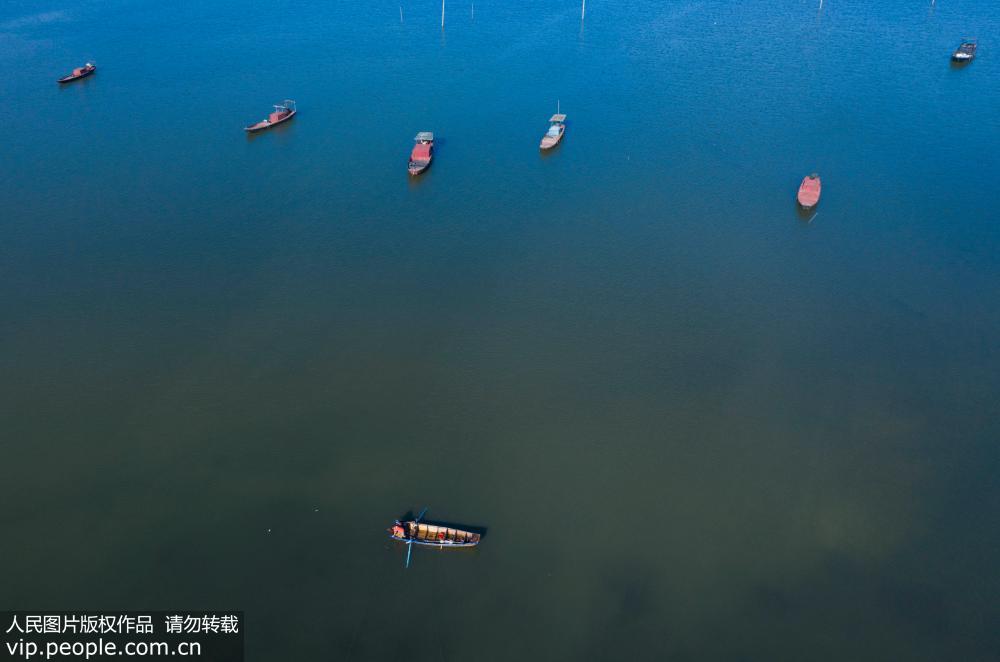 我國最大淡水湖鄱陽湖將實施十年禁捕期【7】