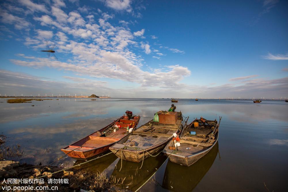 我國最大淡水湖鄱陽湖將實施十年禁捕期