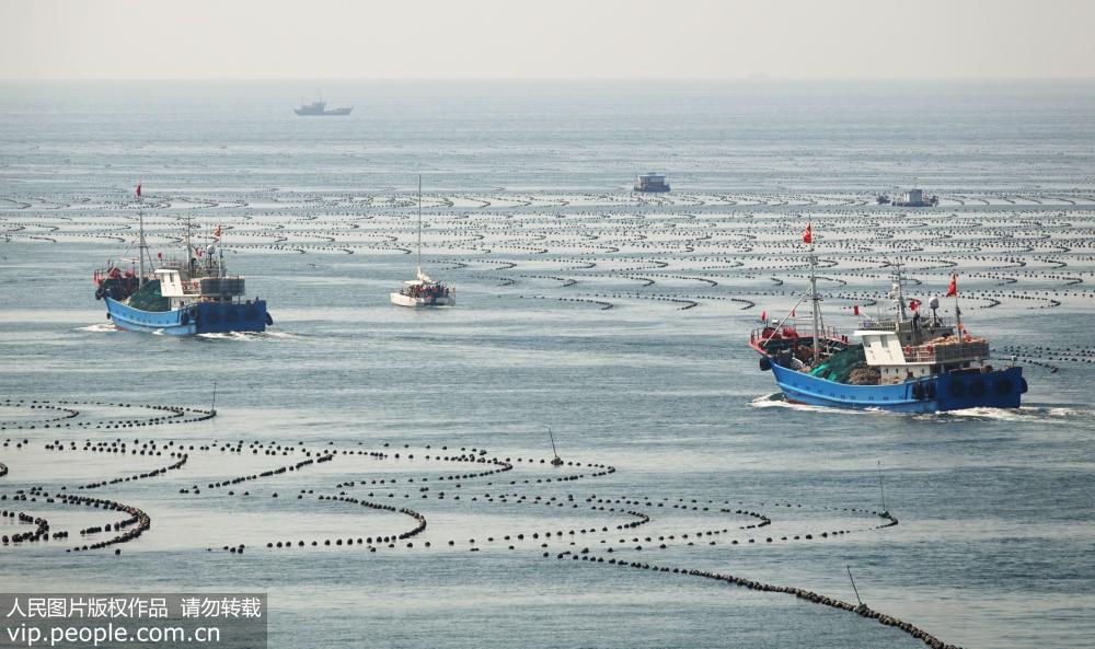 渤海休漁期結束 正式開海