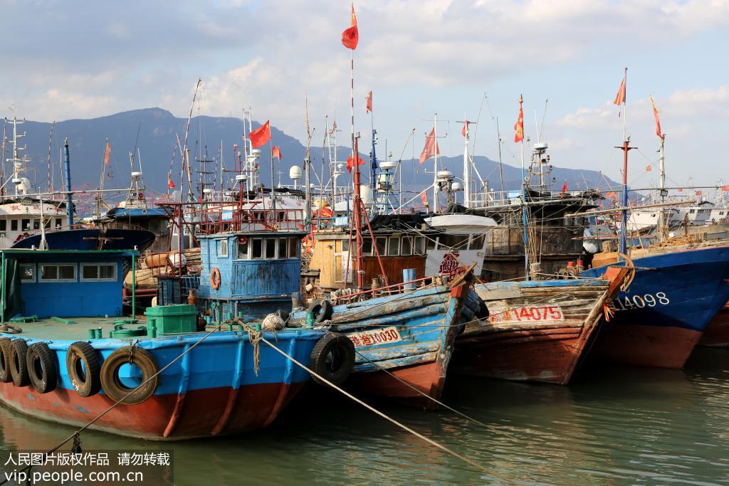 9月21日，連雲港市連雲區西連島村漁業碼頭，許多漁船靠泊港灣躲避台風。