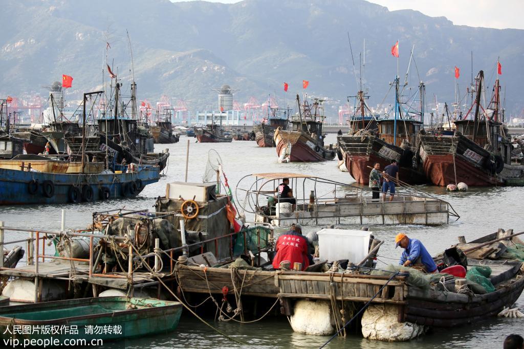 9月21日，連雲港市連雲區西連島村漁業碼頭，許多漁船靠泊港灣躲避台風。