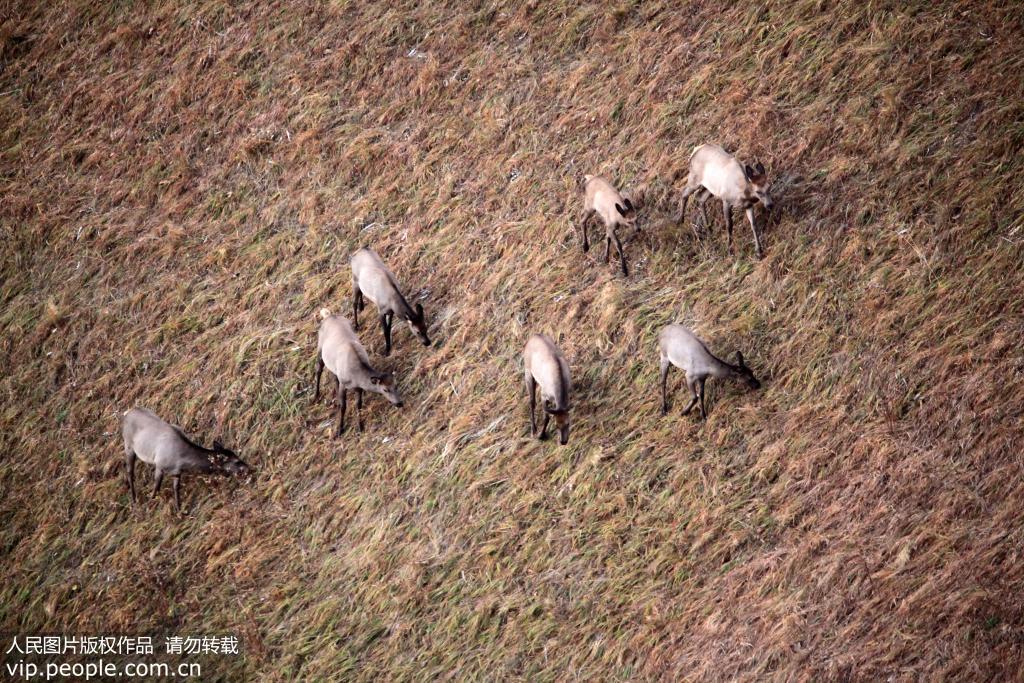 �½����ݣ��Ķ�ϣ����Ȼ����������ɽ��¹�������ࡾ4��