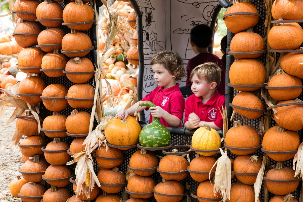 10月10日，在美國得克薩斯州達拉斯植物園的“南瓜小鎮”，孩子們在南瓜屋裡玩耍。