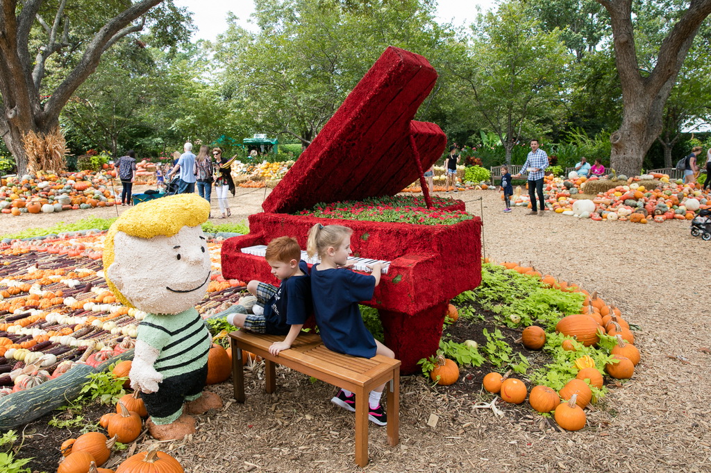 10月10日，在美國得克薩斯州達拉斯植物園的“南瓜小鎮”，兩名小朋友在南瓜地裡的鋼琴模型上玩耍。