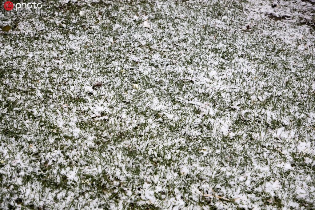 吉林最低氣溫零下3°C 降下今冬首場大雪【3】