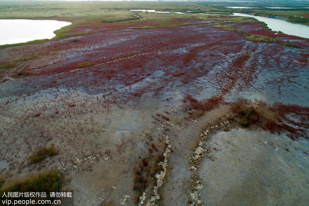 ����Ⱦ���μ�ء����̺����ʪ��������ͼ����12��