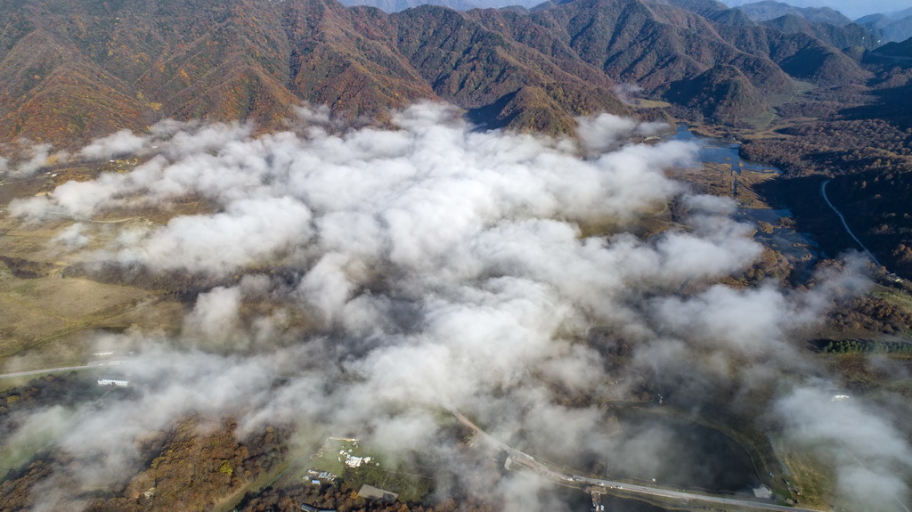 神農架大九湖風光（10月29日無人機拍攝）。