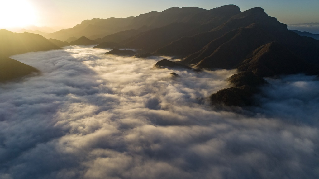 神農架大九湖風光（10月29日無人機拍攝）。