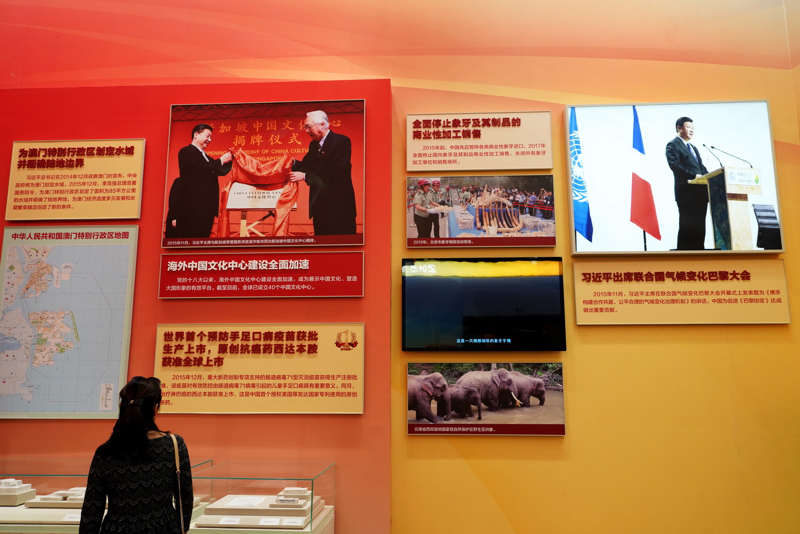 海外中國文化中心建設全面加速。